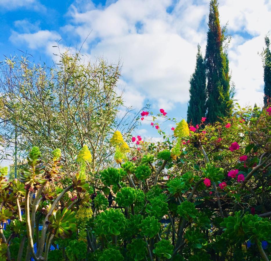 Bohemian Villa Málaga Álora Kültér fotó