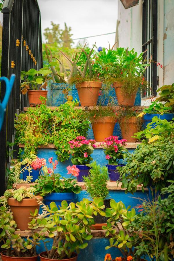 Bohemian Villa Málaga Álora Kültér fotó