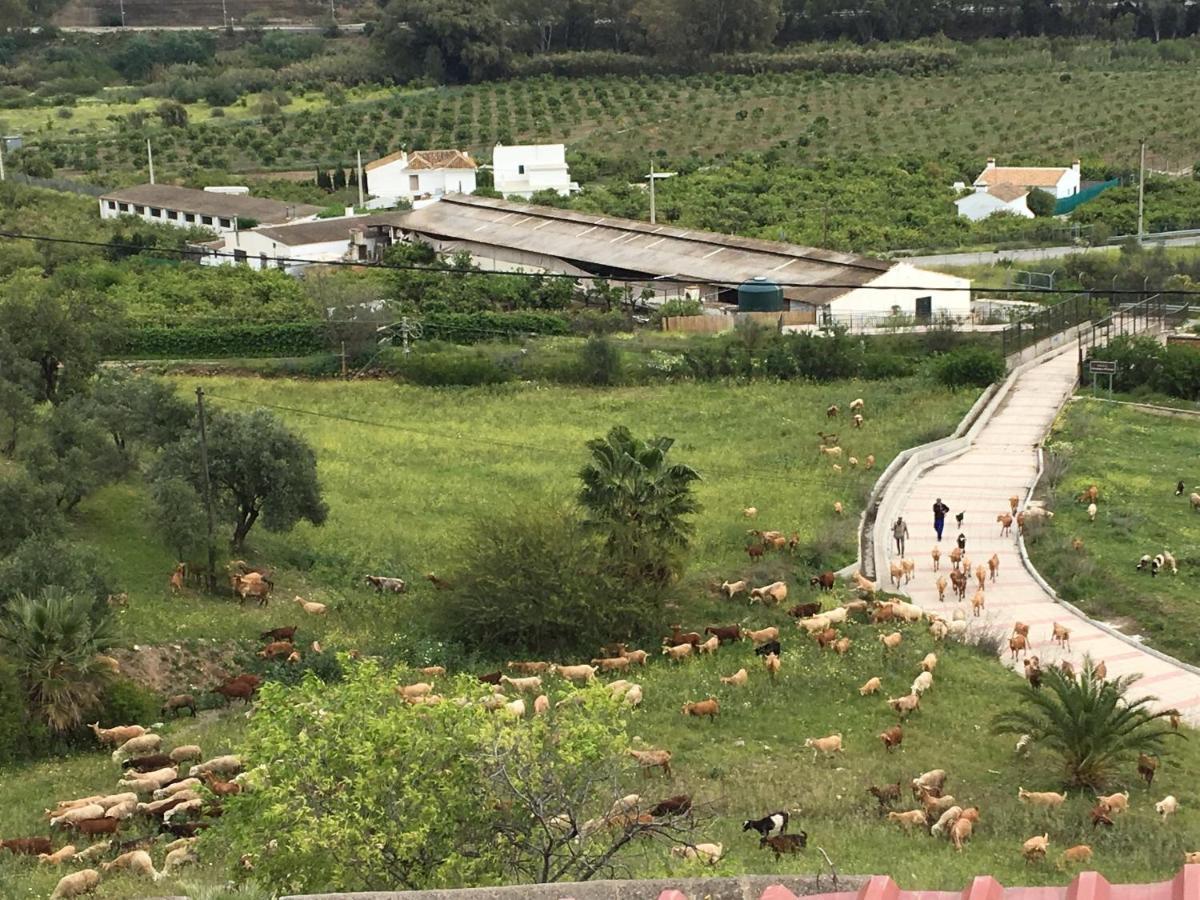 Bohemian Villa Málaga Álora Kültér fotó